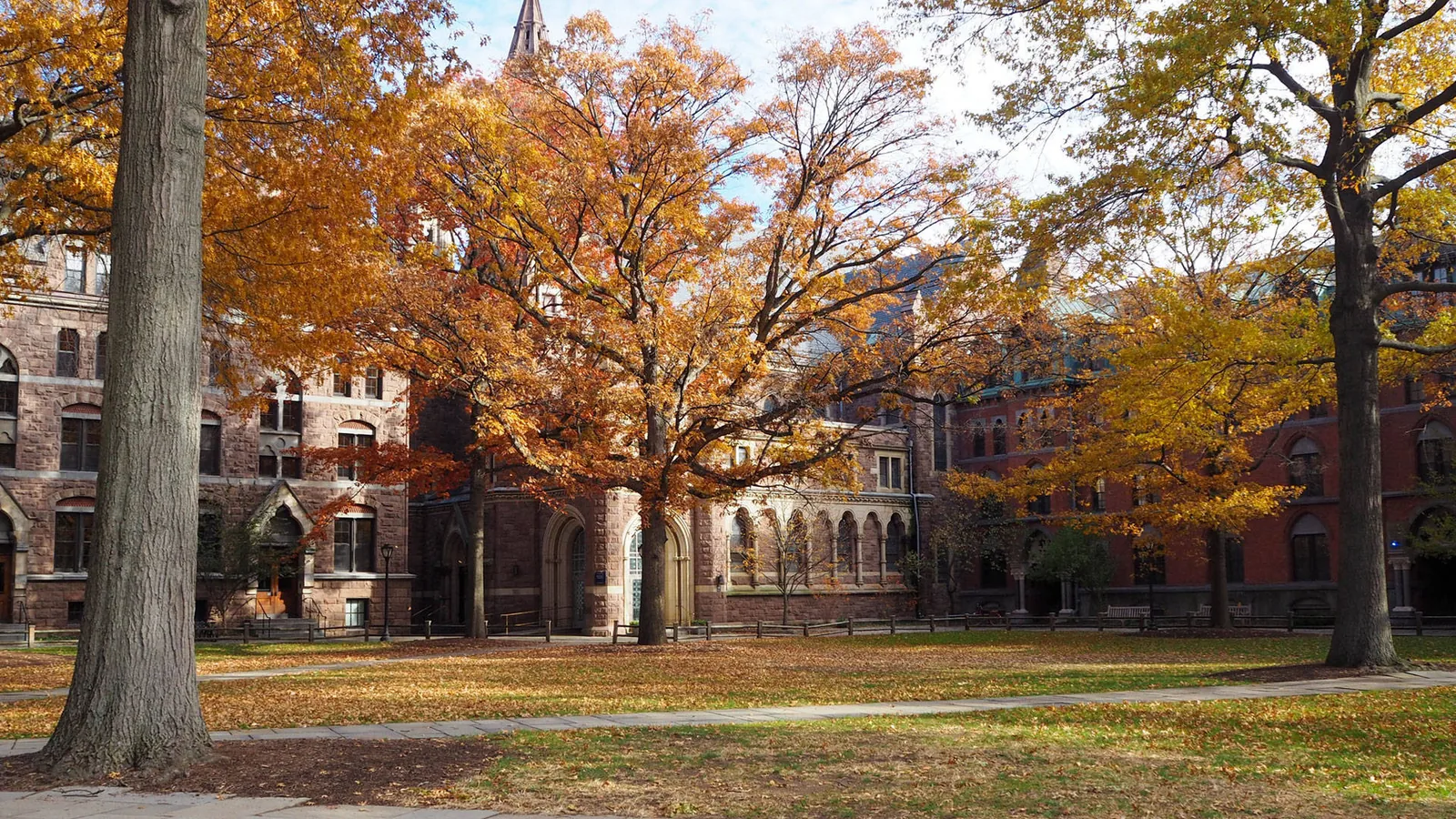 Autumn trees surrounding a stone university courtyard